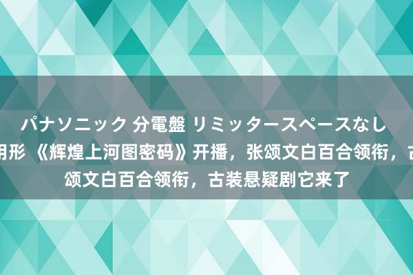 パナソニック 分電盤 リミッタースペースなし 露出・半埋込両用形 《辉煌上河图密码》开播，张颂文白百合领衔，古装悬疑剧它来了