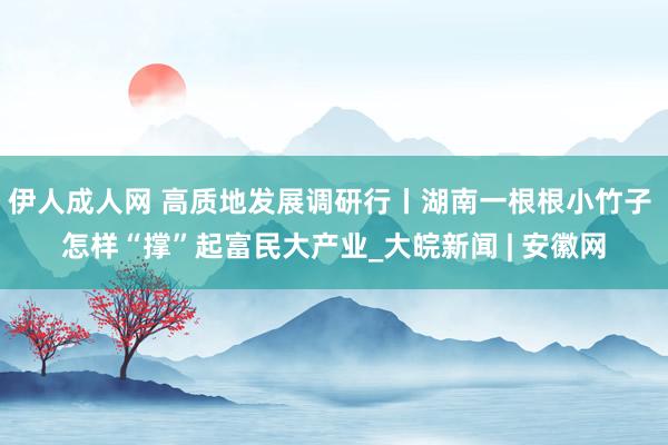 伊人成人网 高质地发展调研行丨湖南一根根小竹子 怎样“撑”起富民大产业_大皖新闻 | 安徽网