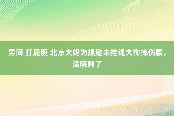 男同 打屁股 北京大妈为规避未拴绳大狗摔伤腰，法院判了