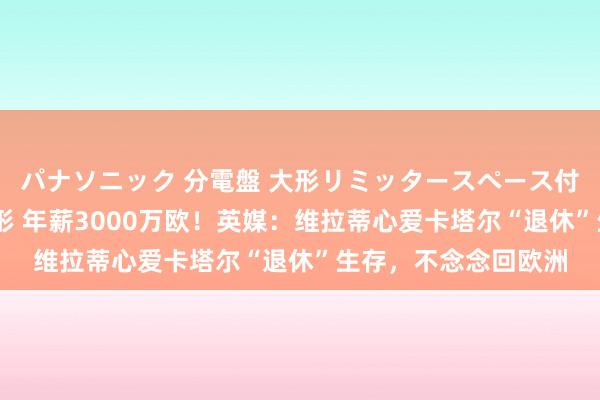 パナソニック 分電盤 大形リミッタースペース付 露出・半埋込両用形 年薪3000万欧！英媒：维拉蒂心爱卡塔尔“退休”生存，不念念回欧洲