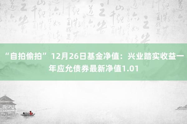 “自拍偷拍” 12月26日基金净值：兴业踏实收益一年应允债券最新净值1.01