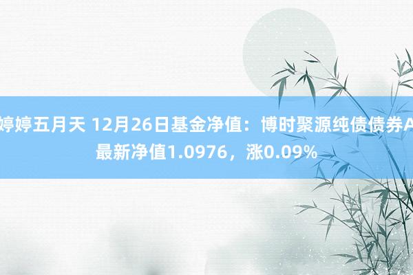 婷婷五月天 12月26日基金净值：博时聚源纯债债券A最新净值1.0976，涨0.09%