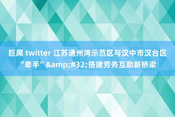 巨屌 twitter 江苏通州湾示范区与汉中市汉台区“牵手”&#32;搭建劳务互助新桥梁