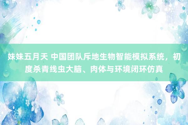 妹妹五月天 中国团队斥地生物智能模拟系统，初度杀青线虫大脑、肉体与环境闭环仿真