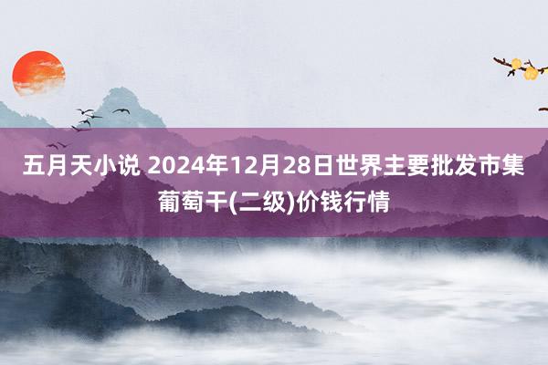 五月天小说 2024年12月28日世界主要批发市集葡萄干(二级)价钱行情