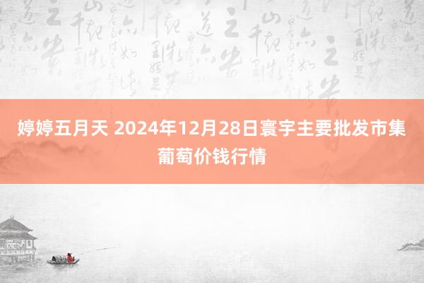 婷婷五月天 2024年12月28日寰宇主要批发市集葡萄价钱行情