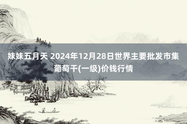 妹妹五月天 2024年12月28日世界主要批发市集葡萄干(一级)价钱行情