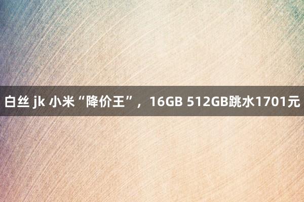 白丝 jk 小米“降价王”，16GB 512GB跳水1701元