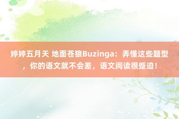 婷婷五月天 地面苍狼Buzinga：弄懂这些题型，你的语文就不会差，语文阅读很蹙迫！