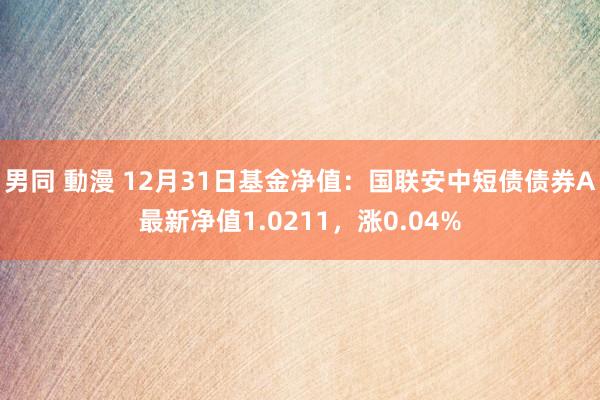 男同 動漫 12月31日基金净值：国联安中短债债券A最新净值1.0211，涨0.04%