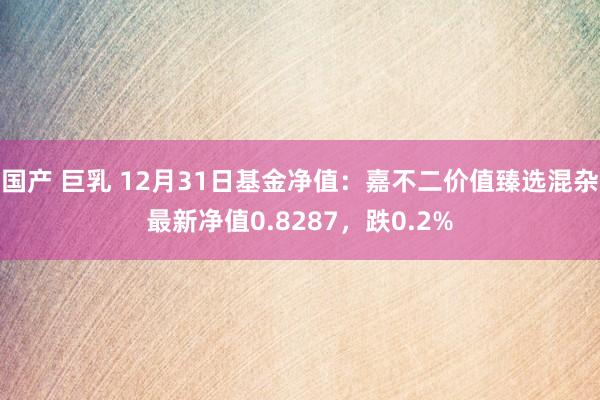 国产 巨乳 12月31日基金净值：嘉不二价值臻选混杂最新净值0.8287，跌0.2%