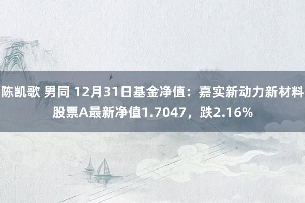 陈凯歌 男同 12月31日基金净值：嘉实新动力新材料股票A最新净值1.7047，跌2.16%