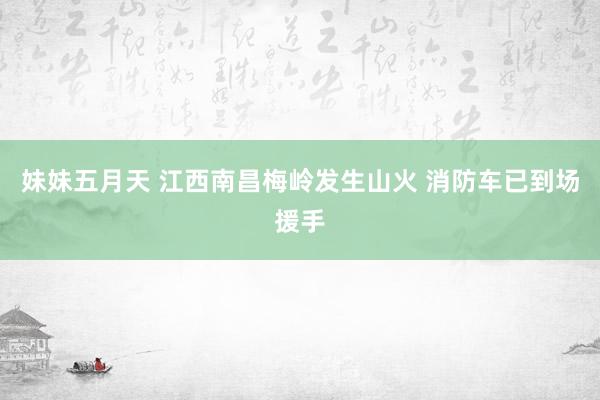 妹妹五月天 江西南昌梅岭发生山火 消防车已到场援手