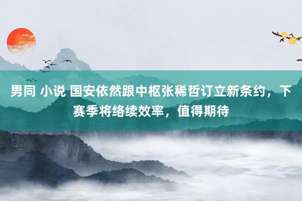 男同 小说 国安依然跟中枢张稀哲订立新条约，下赛季将络续效率，值得期待