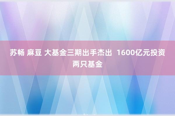 苏畅 麻豆 大基金三期出手杰出  1600亿元投资两只基金