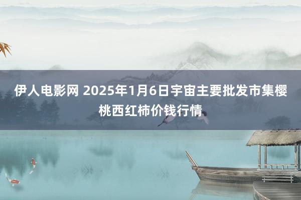 伊人电影网 2025年1月6日宇宙主要批发市集樱桃西红柿价钱行情