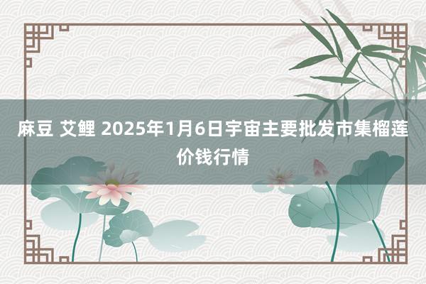 麻豆 艾鲤 2025年1月6日宇宙主要批发市集榴莲价钱行情