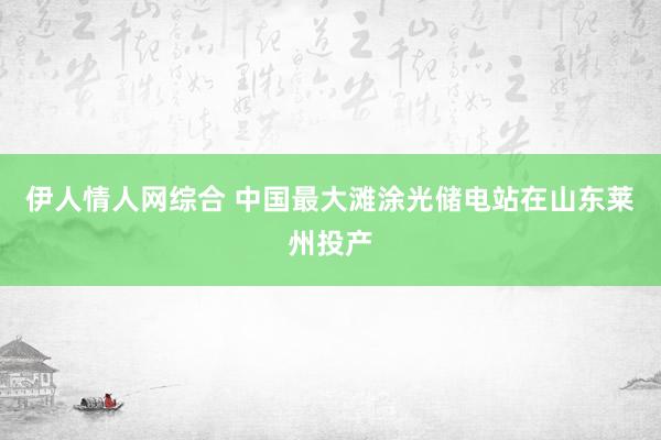 伊人情人网综合 中国最大滩涂光储电站在山东莱州投产