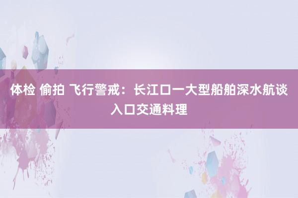 体检 偷拍 飞行警戒：长江口一大型船舶深水航谈入口交通料理