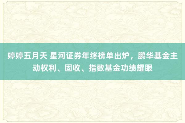 婷婷五月天 星河证券年终榜单出炉，鹏华基金主动权利、固收、指数基金功绩耀眼