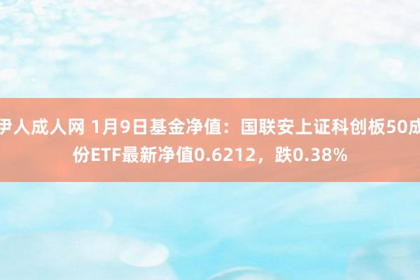 伊人成人网 1月9日基金净值：国联安上证科创板50成份ETF最新净值0.6212，跌0.38%