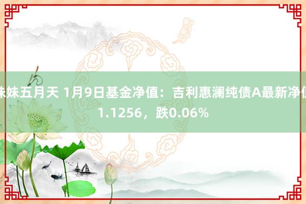 妹妹五月天 1月9日基金净值：吉利惠澜纯债A最新净值1.1256，跌0.06%