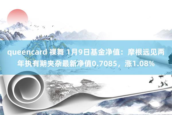 queencard 裸舞 1月9日基金净值：摩根远见两年执有期夹杂最新净值0.7085，涨1.08%