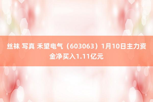 丝袜 写真 禾望电气（603063）1月10日主力资金净买入1.11亿元