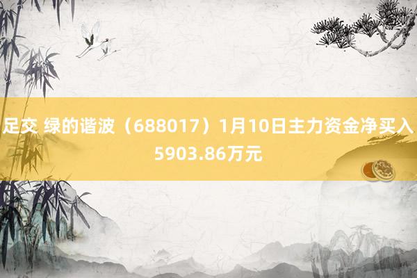 足交 绿的谐波（688017）1月10日主力资金净买入5903.86万元