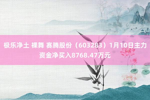 极乐净土 裸舞 赛腾股份（603283）1月10日主力资金净买入8768.47万元