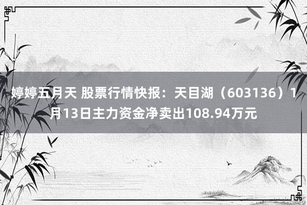 婷婷五月天 股票行情快报：天目湖（603136）1月13日主力资金净卖出108.94万元