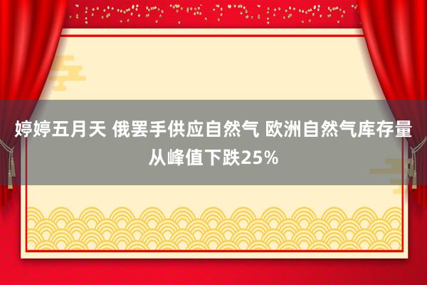 婷婷五月天 俄罢手供应自然气 欧洲自然气库存量从峰值下跌25%