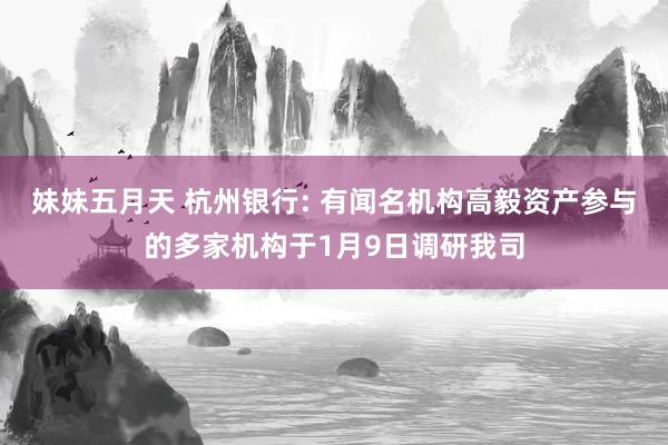 妹妹五月天 杭州银行: 有闻名机构高毅资产参与的多家机构于1月9日调研我司