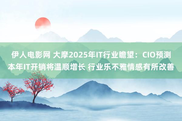 伊人电影网 大摩2025年IT行业瞻望：CIO预测本年IT开销将温顺增长 行业乐不雅情感有所改善