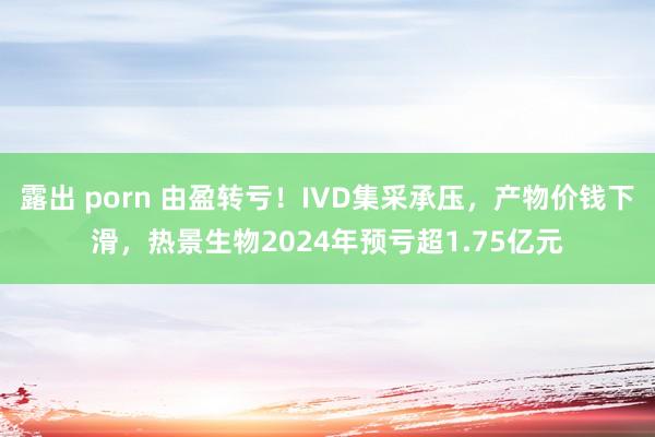 露出 porn 由盈转亏！IVD集采承压，产物价钱下滑，热景生物2024年预亏超1.75亿元