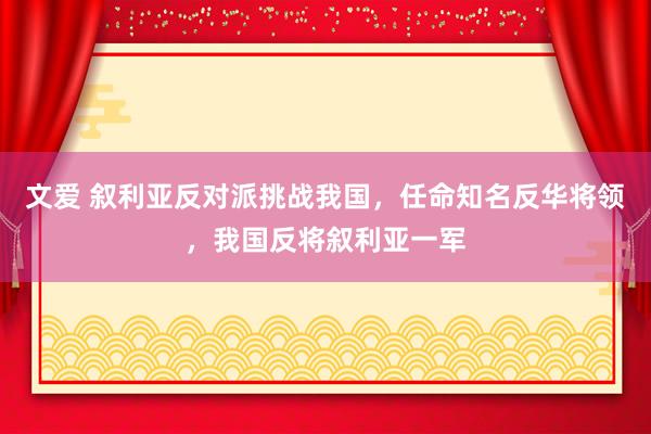 文爱 叙利亚反对派挑战我国，任命知名反华将领，我国反将叙利亚一军