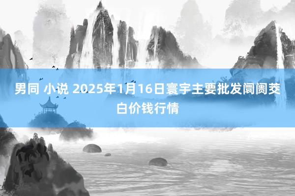 男同 小说 2025年1月16日寰宇主要批发阛阓茭白价钱行情