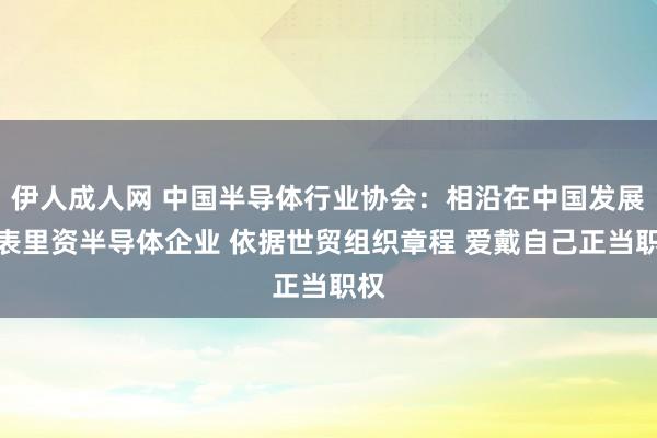 伊人成人网 中国半导体行业协会：相沿在中国发展的表里资半导体企业 依据世贸组织章程 爱戴自己正当职权